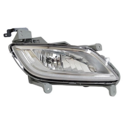 Fog Light Pacific Auto Company P50497