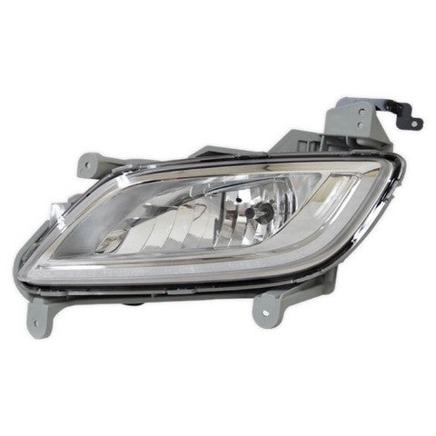Fog Light Pacific Auto Company P50498