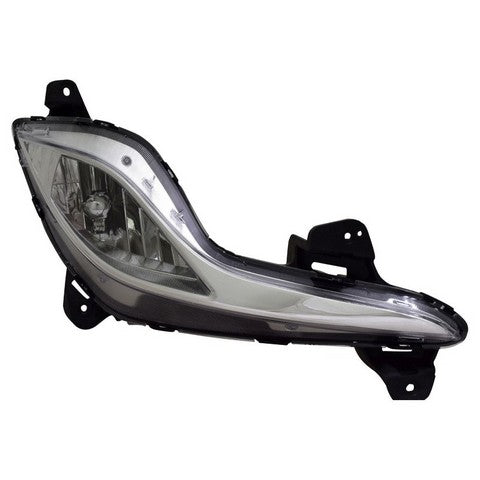 Fog Light Pacific Auto Company P50623