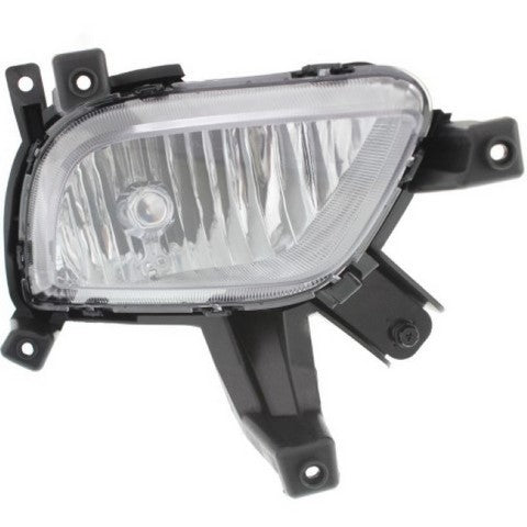 Fog Light Pacific Auto Company P58063