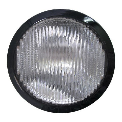 Fog Light Pacific Auto Company P69395