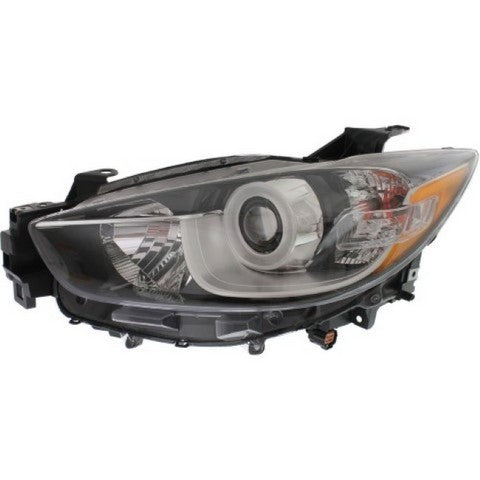 Headlight Pacific Auto Company P82934
