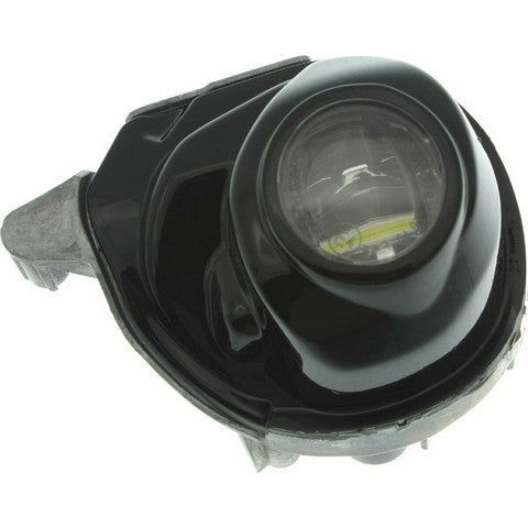 Fog Light Pacific Auto Company P83726