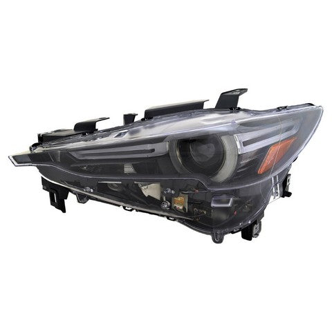 Headlight Pacific Auto Company P83818