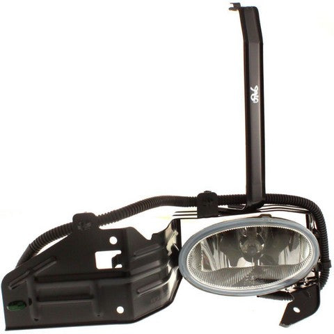 Fog Light Pacific Auto Company P893382