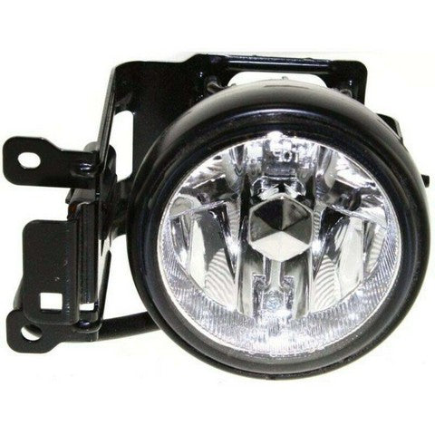 Fog Light Pacific Auto Company P93620