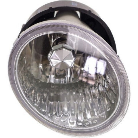 Fog Light Pacific Auto Company P95643
