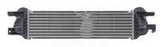Intercooler Pacific Auto Company PIC104