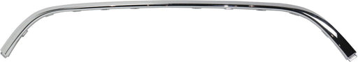 Bumper Trim CarParts RC01590005