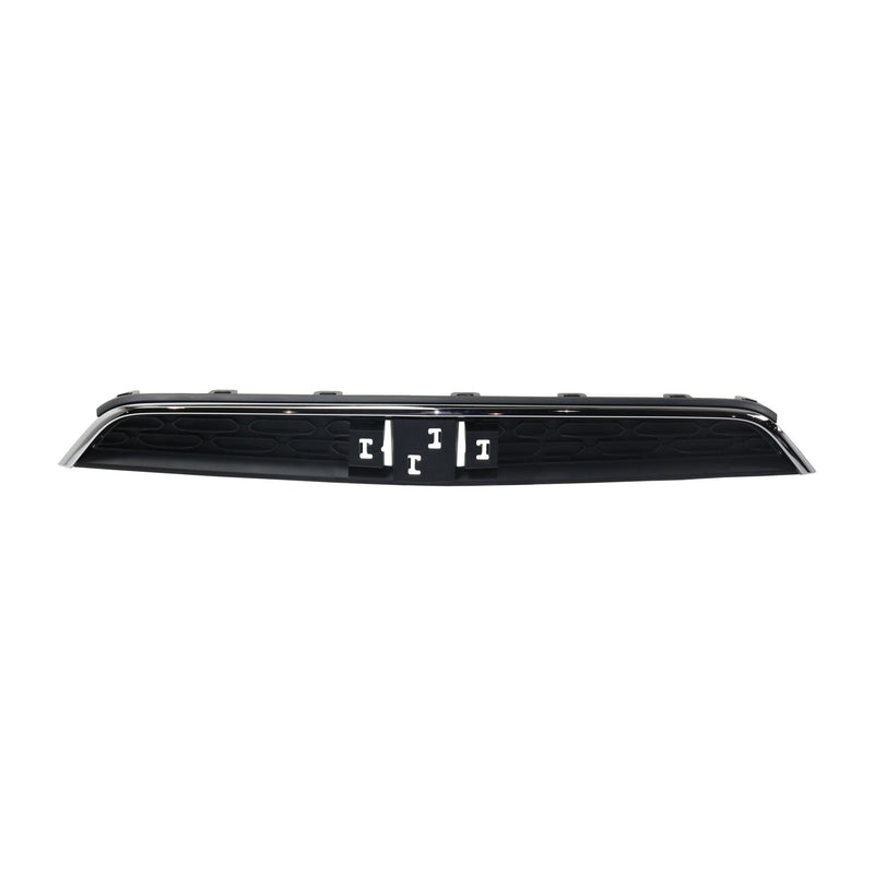 Grille CarParts RC07010020