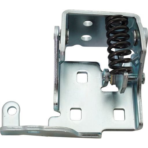 Door Hinge CarParts RC46390006