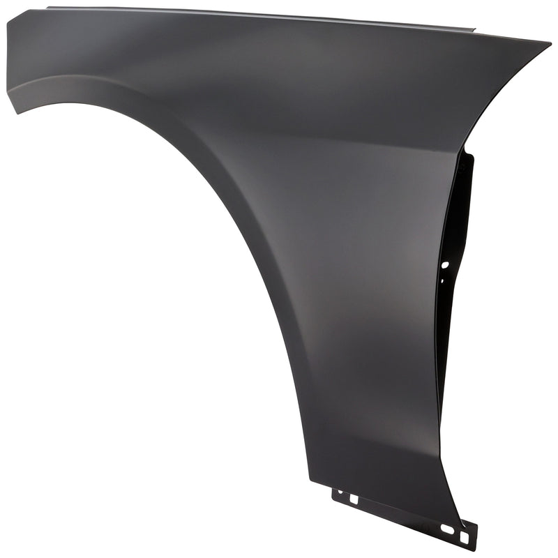 Fender CarParts REPM220136