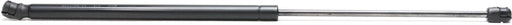 Hood Lift Support CarParts REPS612901