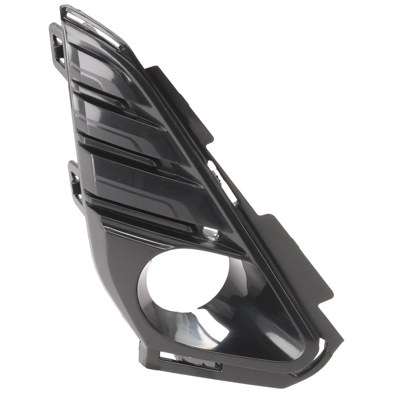 Fog Light Trim CarParts RG10820007