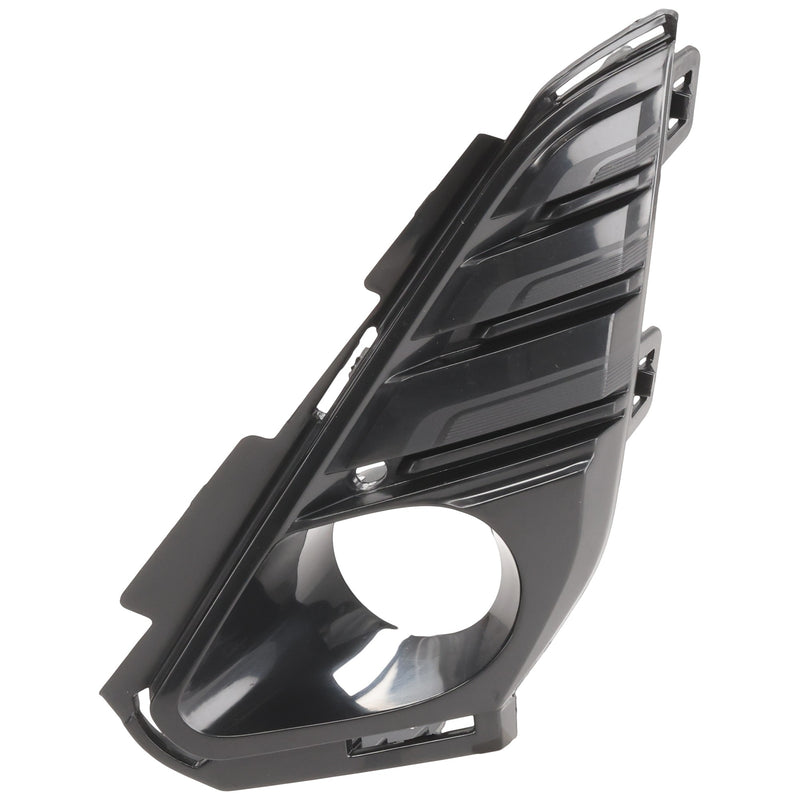 Fog Light Trim CarParts RG10820008