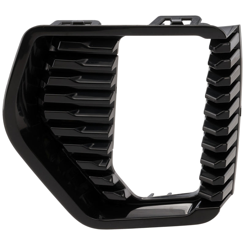 Fog Light Trim CarParts RG10820012