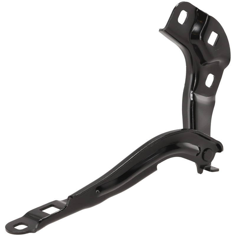 Hood Hinge CarParts RG13050003