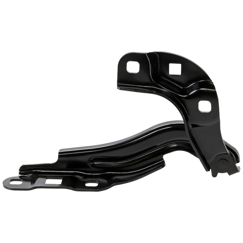 Hood Hinge CarParts RG13050004
