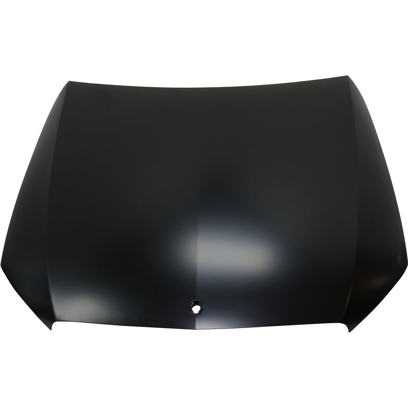 Hood CarParts RM13010005