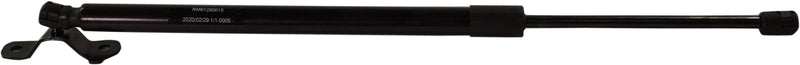 Hood Lift Support CarParts RM61290015