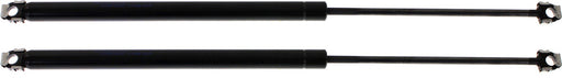 Hood Lift Support CarParts SET-REPB131709-2