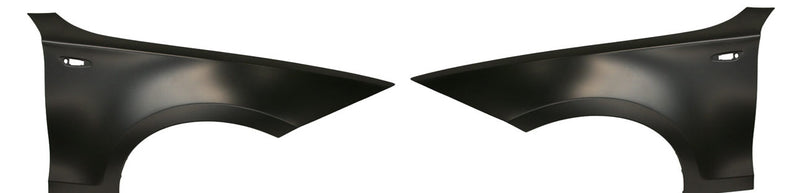 Fender CarParts SET-REPB220101