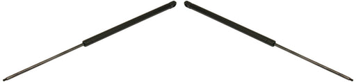 Hood Lift Support CarParts SET-REPC610702