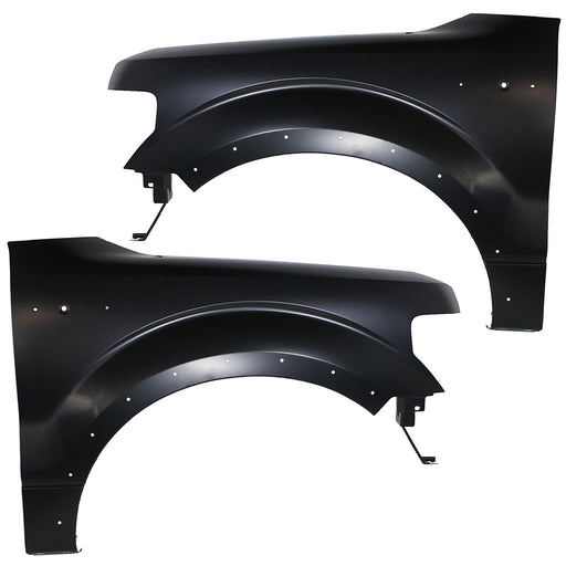 Fender CarParts SET-REPF220111Q