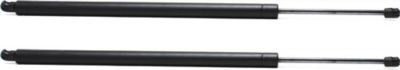 Hood Lift Support CarParts SET-REPH131101-2