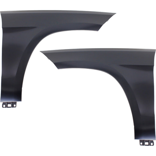 Fender CarParts SET-REPM220173Q