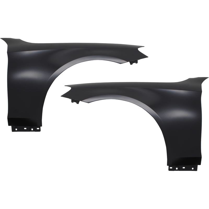 Fender CarParts SET-REPM220315