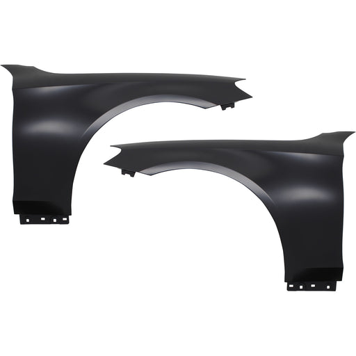 Fender CarParts SET-REPM220315