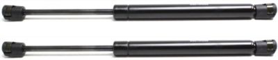 Hood Lift Support CarParts SET-REPM612902-2
