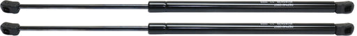 Hood Lift Support CarParts SET-REPN612907-2