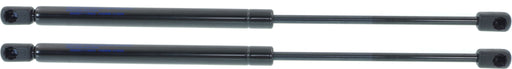 Hood Lift Support CarParts SET-REPP131704-2