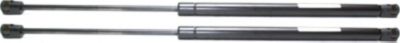 Hood Lift Support CarParts SET-REPS131101-2