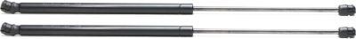 Hood Lift Support CarParts SET-REPS612901-2