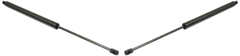 Hood Lift Support CarParts SET-REPT610701