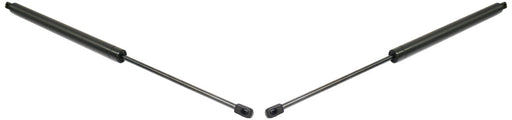 Hood Lift Support CarParts SET-REPT610701