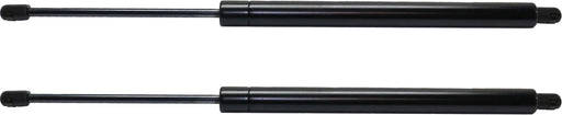 Hood Lift Support CarParts SET-RM61290010-2