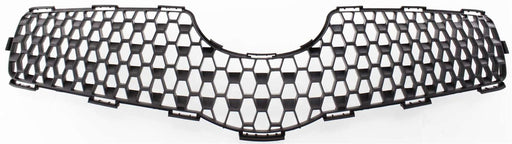 Grille CarParts T070166