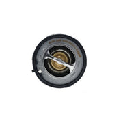 Engine Coolant Thermostat Aisin THRGM-0002