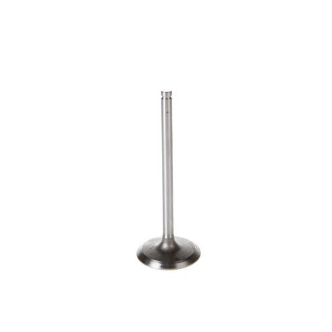 Engine Intake Valve Melling V1557