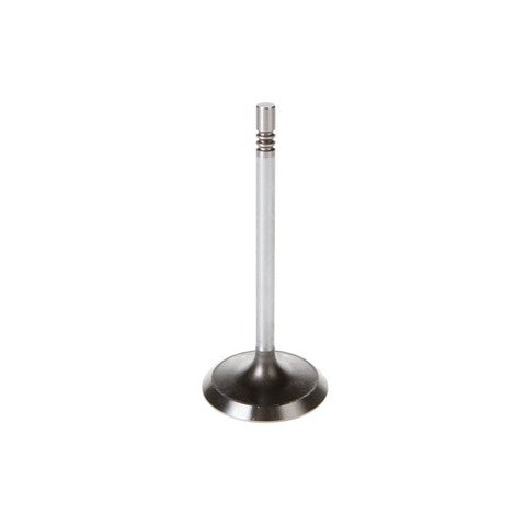 Engine Intake Valve Melling V1918