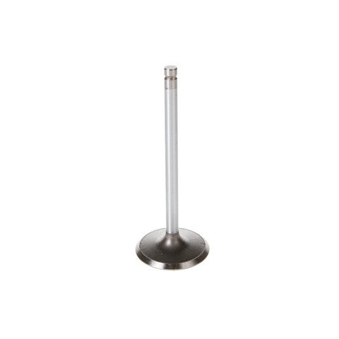 Engine Intake Valve Melling V1934